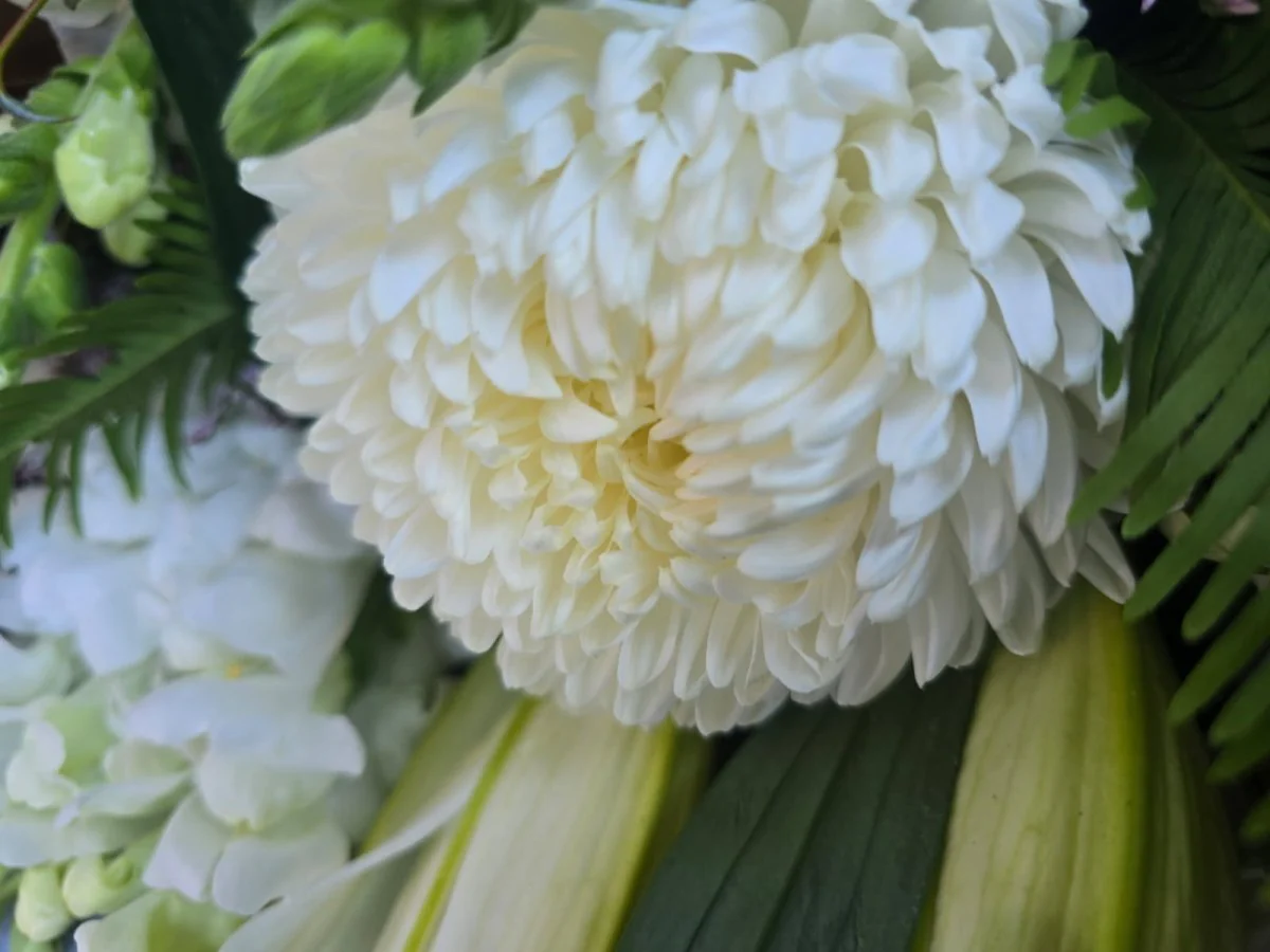 Purity - Image 3