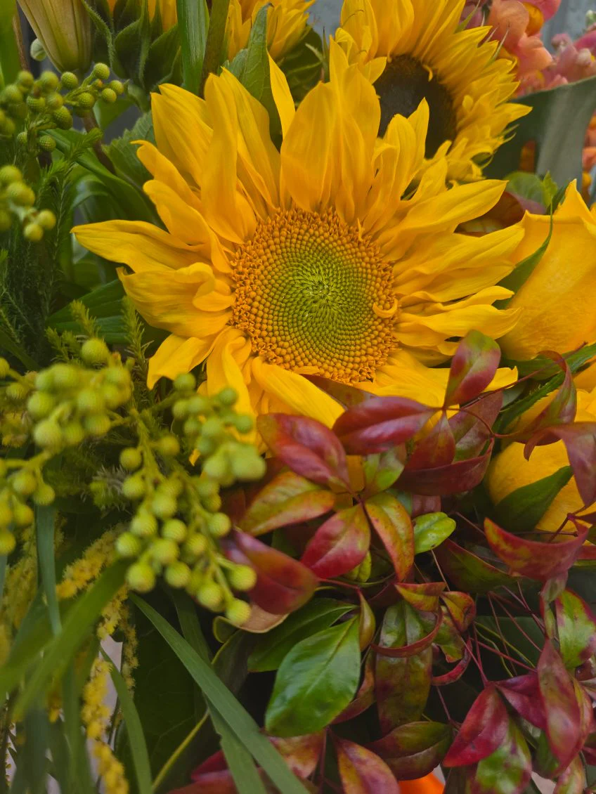 Ray of Sunshine (inc Vase) - Image 5