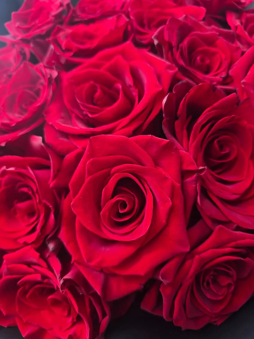 Rose Bouquet - Image 7