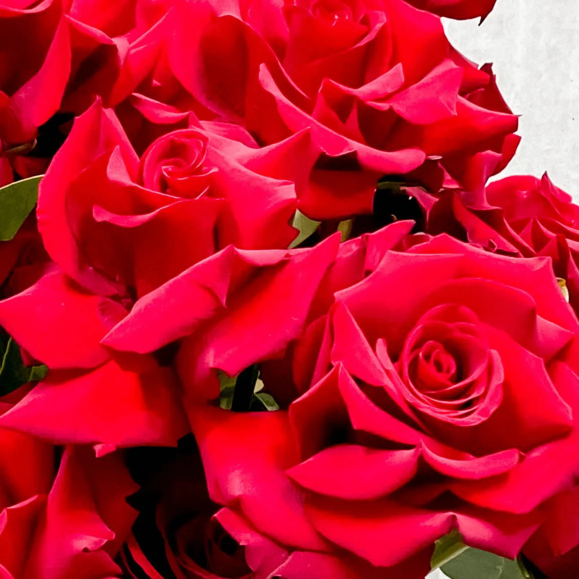 Ruby Red (inc Vase) - Image 2